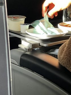 D3FA3618-9088-48B9-AA6B-1BAE7298DA79.jpeg D3FA3618-9088-48B9-AA6B-1BAE7298DA79.jpeg