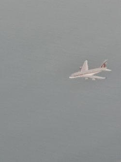 20220430_050127.jpg