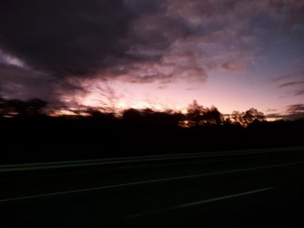 20220504_054918.jpg 20220504_054918.jpg