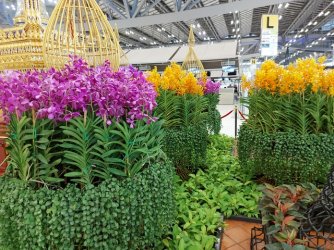 20220512_062611.jpg 20220512_062611.jpg