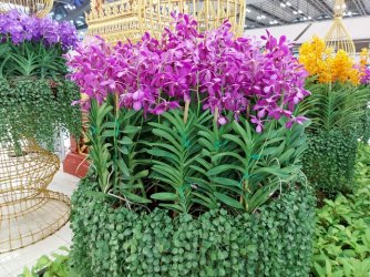 20220512_062616.jpg 20220512_062616.jpg