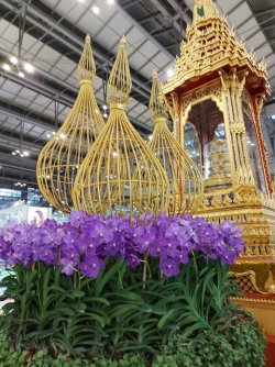 20220512_062633.jpg 20220512_062633.jpg