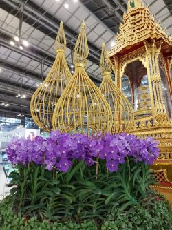 20220512_062634.jpg 20220512_062634.jpg