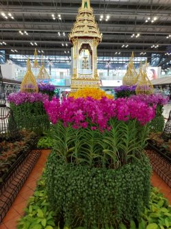 20220512_062659.jpg 20220512_062659.jpg