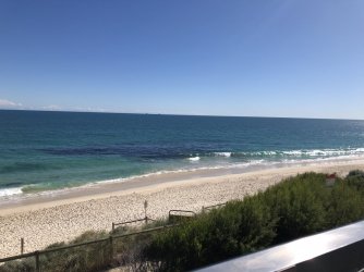 C8B07149-836D-4791-9C43-4931698DBF35.jpeg C8B07149-836D-4791-9C43-4931698DBF35.jpeg