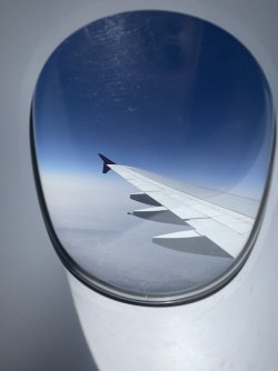 C348B73F-5BF7-44E0-95D9-0E4E6EAF7011.jpeg C348B73F-5BF7-44E0-95D9-0E4E6EAF7011.jpeg