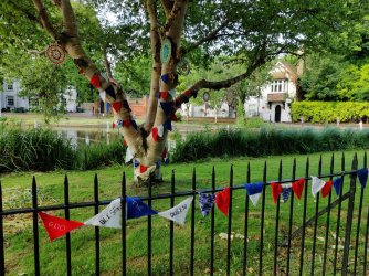 IMG_20220521_063958.jpg IMG_20220521_063958.jpg