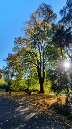 20220521_152306.jpg 20220521_152306.jpg