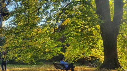 20220521_152315.jpg 20220521_152315.jpg