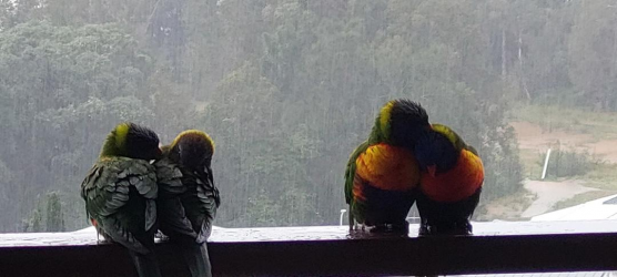 1653186755768.png 1653186755768.png