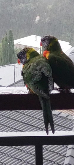 1653186793985.png 1653186793985.png