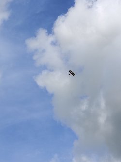 IMG_20220521_160604.jpg IMG_20220521_160604.jpg