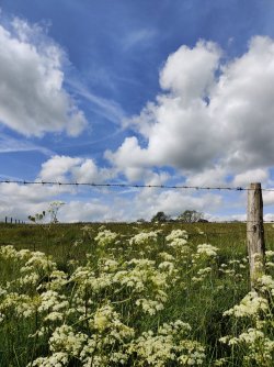 IMG_20220521_155215.jpg IMG_20220521_155215.jpg