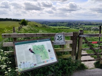 IMG_20220521_152659.jpg IMG_20220521_152659.jpg