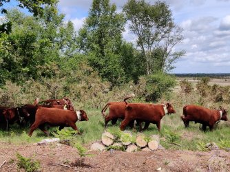 IMG_20220521_143203.jpg IMG_20220521_143203.jpg