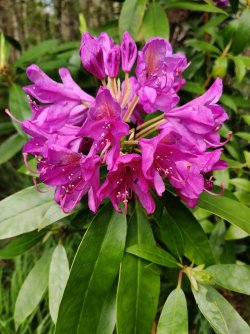 IMG_20220521_141853.jpg IMG_20220521_141853.jpg