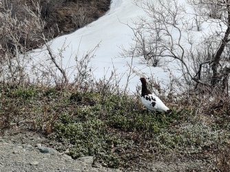 2022-05-26 12.37.57.jpg 2022-05-26 12.37.57.jpg