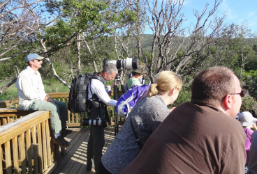 1653731173035.png 1653731173035.png