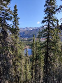 IMG_20220527_094633.jpg IMG_20220527_094633.jpg