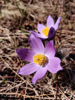 IMG_20220527_094746.jpg IMG_20220527_094746.jpg