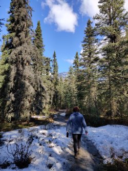 IMG_20220527_095622.jpg IMG_20220527_095622.jpg