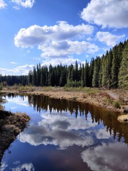 IMG_20220527_101902.jpg IMG_20220527_101902.jpg