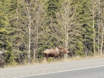 IMG_20220527_111900.jpg IMG_20220527_111900.jpg