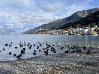 B143421C-CE29-48F5-BDD9-CC040C35FE19.jpeg B143421C-CE29-48F5-BDD9-CC040C35FE19.jpeg