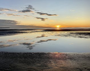 A306980E-5F7A-4486-964F-9818F3CD5191.jpeg A306980E-5F7A-4486-964F-9818F3CD5191.jpeg