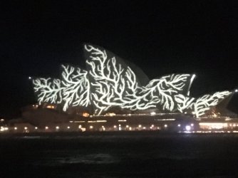 5C0B491A-C216-4E94-9E82-89F737398FF5.jpeg 5C0B491A-C216-4E94-9E82-89F737398FF5.jpeg