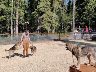 2022-05-28 10.37.29.jpg 2022-05-28 10.37.29.jpg