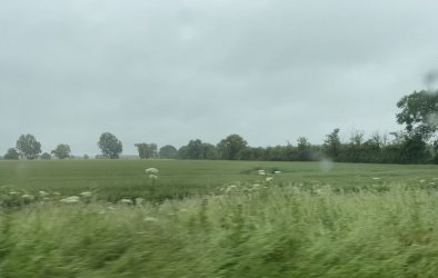 3AA7245E-690C-436C-890F-AE0A744D640C.jpeg 3AA7245E-690C-436C-890F-AE0A744D640C.jpeg