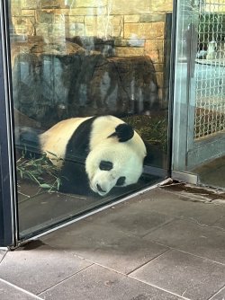 IMG_6739.JPG IMG_6739.JPG