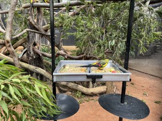 IMG_6736.JPG IMG_6736.JPG