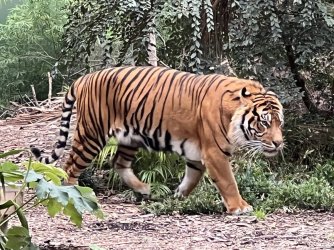 IMG_6713.JPG IMG_6713.JPG