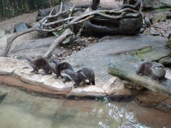 DSC02911.JPG DSC02911.JPG