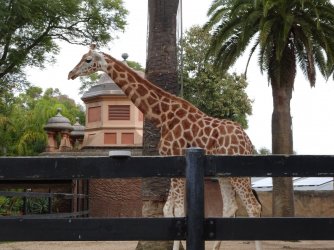 DSC02942.JPG DSC02942.JPG