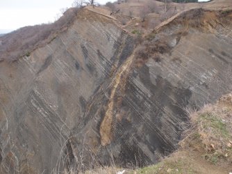 Shale and Turbidite Outcropping.JPG Shale and Turbidite Outcropping.JPG