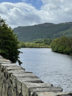 DCD85445-755C-4CE7-96CE-3D5B9A3D17DE.jpeg DCD85445-755C-4CE7-96CE-3D5B9A3D17DE.jpeg