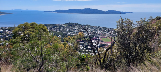 1655022162512.png 1655022162512.png