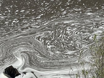 IMG_4708.JPEG IMG_4708.JPEG