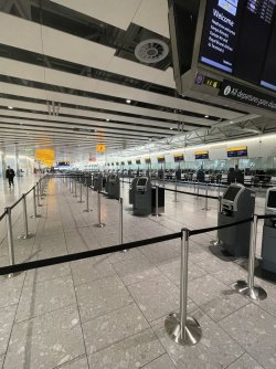 AF0B4479-35C2-4882-89BA-54DADA962ABD.jpeg AF0B4479-35C2-4882-89BA-54DADA962ABD.jpeg