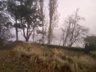 66511030-1C92-49AA-BED7-E9BCF2F7FD8A.jpeg 66511030-1C92-49AA-BED7-E9BCF2F7FD8A.jpeg