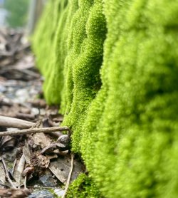 646D7FE1-31F9-4609-B543-BCCDDC9BF615.jpeg 646D7FE1-31F9-4609-B543-BCCDDC9BF615.jpeg