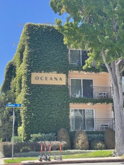 DAC2BF68-5D36-4409-8FC2-9A5D54392920.jpeg DAC2BF68-5D36-4409-8FC2-9A5D54392920.jpeg