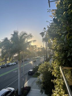 29E28BD2-1848-4086-85B4-F0FD52EC3C35.jpeg 29E28BD2-1848-4086-85B4-F0FD52EC3C35.jpeg