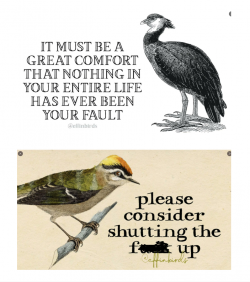 1655953954973.png 1655953954973.png