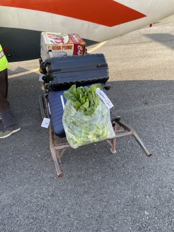 1CBF9AE1-FB3F-4D69-A3F9-02172786A99B.jpeg 1CBF9AE1-FB3F-4D69-A3F9-02172786A99B.jpeg