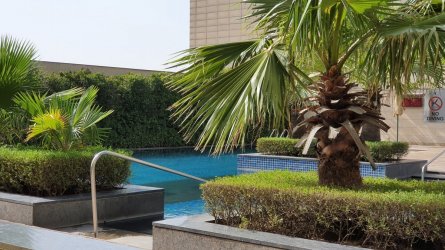 20220624_154828.jpg 20220624_154828.jpg