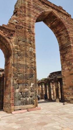 20220625_104717.jpg 20220625_104717.jpg